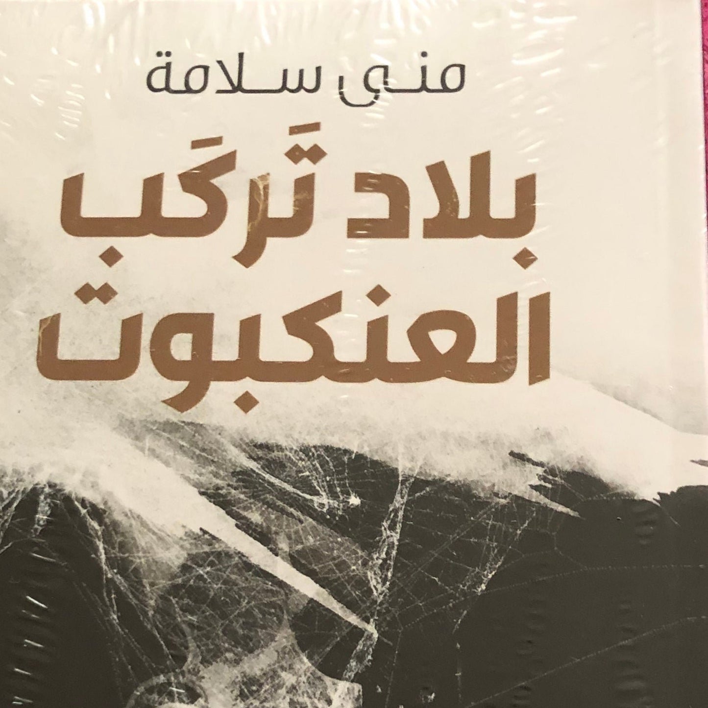 بلاد تركب العنكبوت
